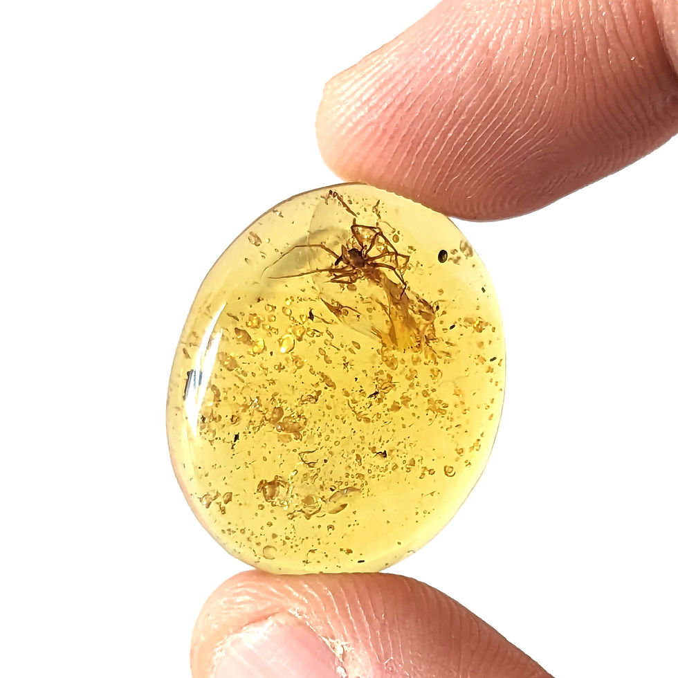 Thumbnail:  Amber with Poised Spider finger