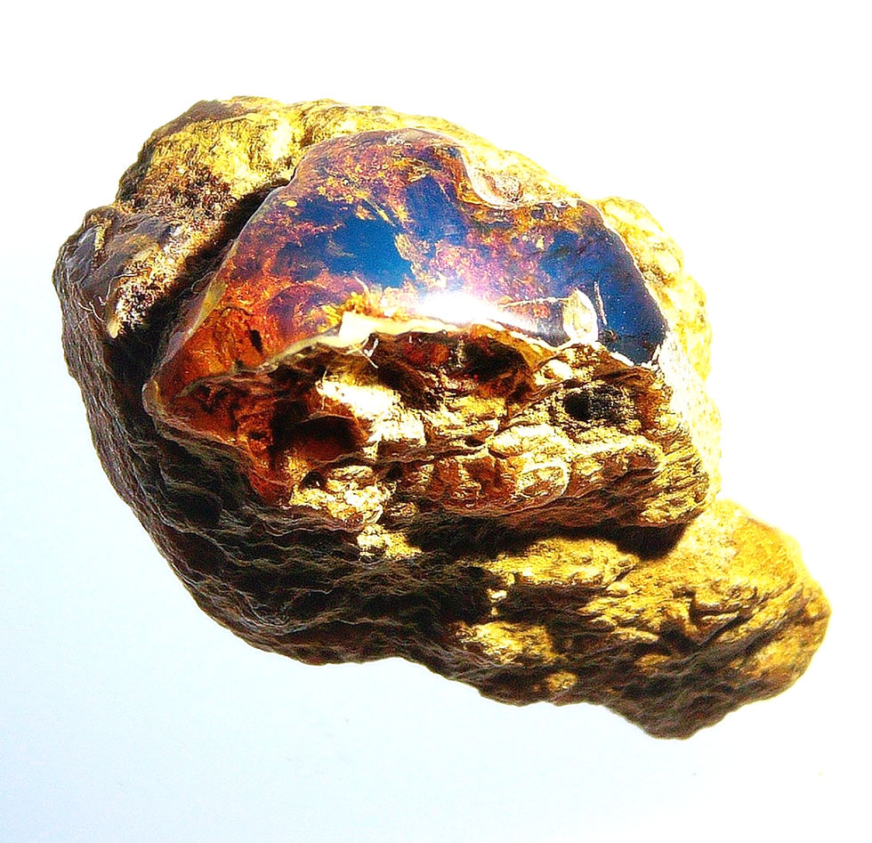 Dominican blue Amber 7g over light board
