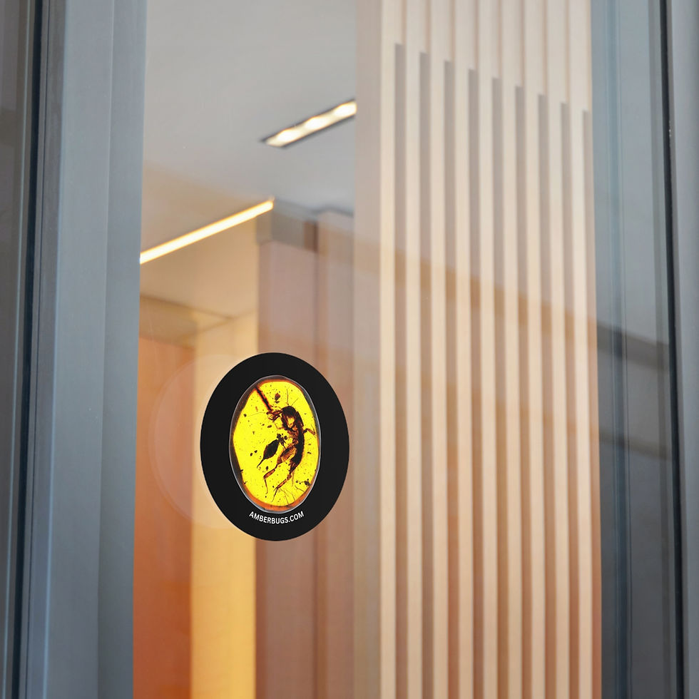 Thumbnail: Amber Bugs Round Vinyl Sticker
