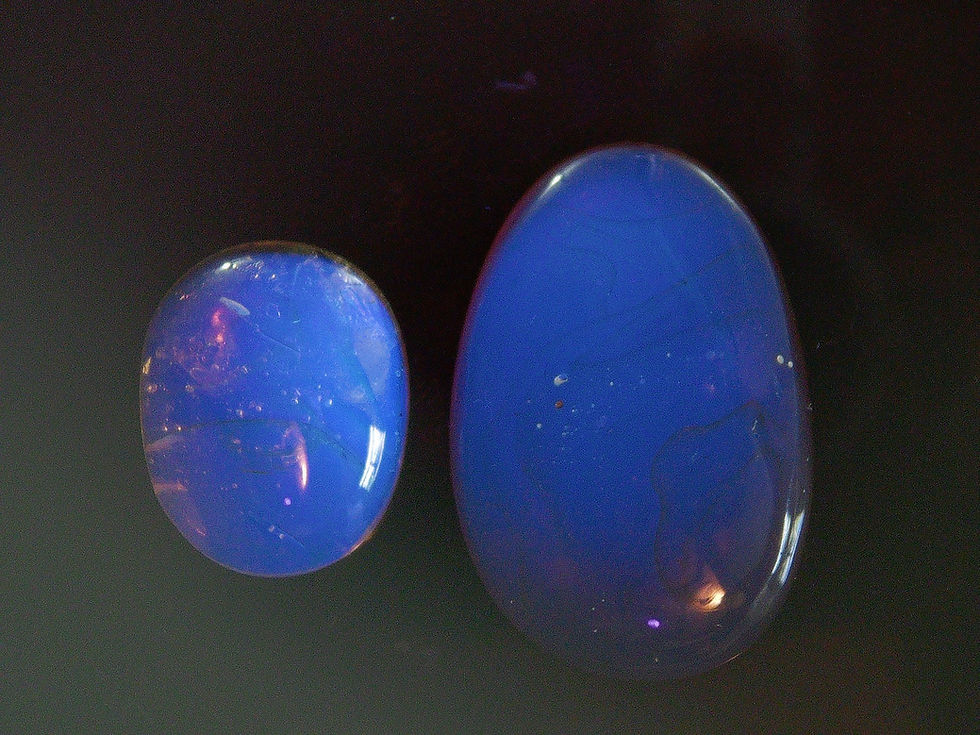 Thumbnail: Burmese amber with beetle and fly under uv light