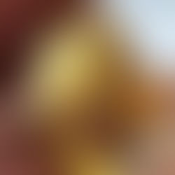 Encyclopedia Entry #1: Scorpion tail in Burmese Amber