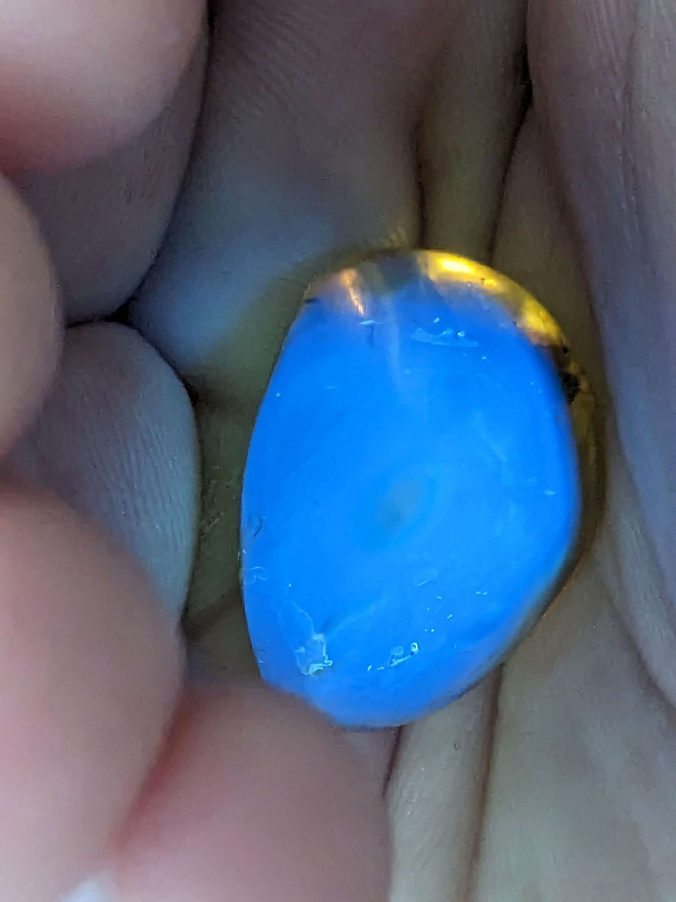 Thumbnail: Amber with Insects #451 • Queen Ant