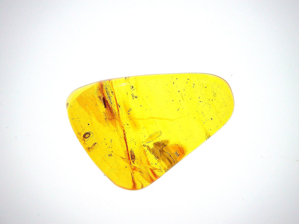 Dominican Amber with beetle over light board