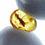 Thumbnail: Burmese Amber with beetle held by two fingers