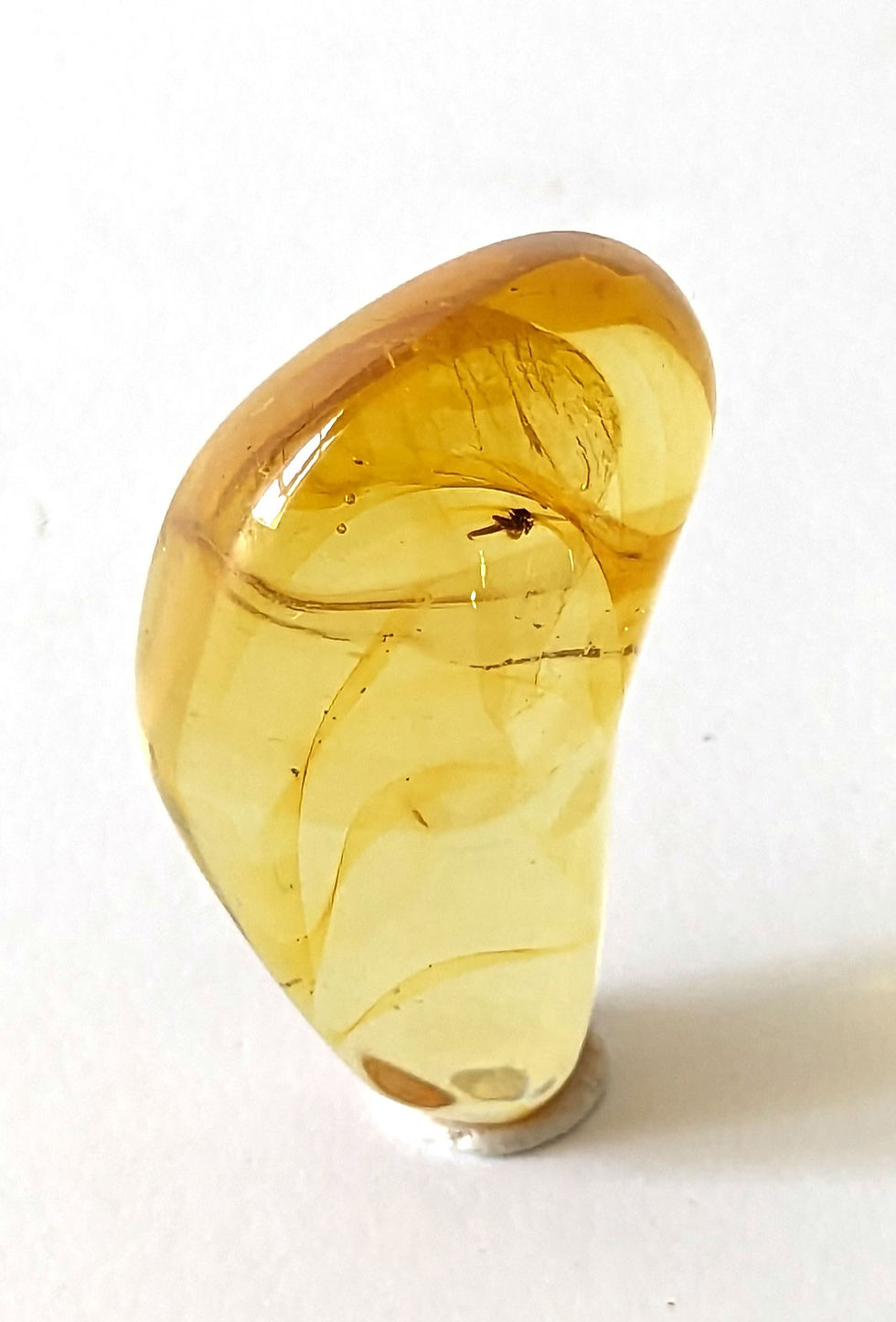 Thumbnail: Yellow Amber with Poised Fly Full View