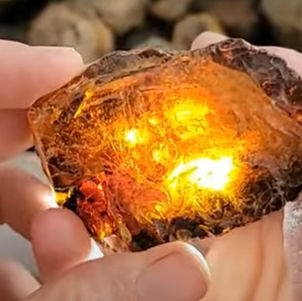 Mike Visits the Amber Table: What’s the Deal With Raw Amber, Insects, and Fossil Jewelry?