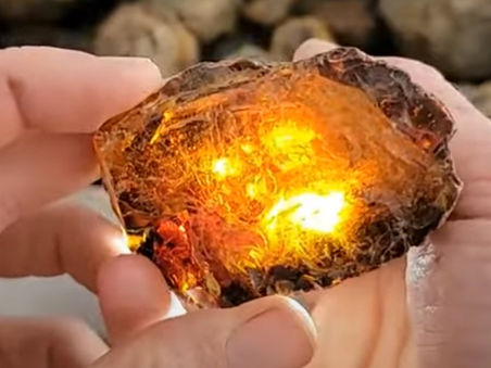 Mike Visits the Amber Table: What’s the Deal With Raw Amber, Insects, and Fossil Jewelry?