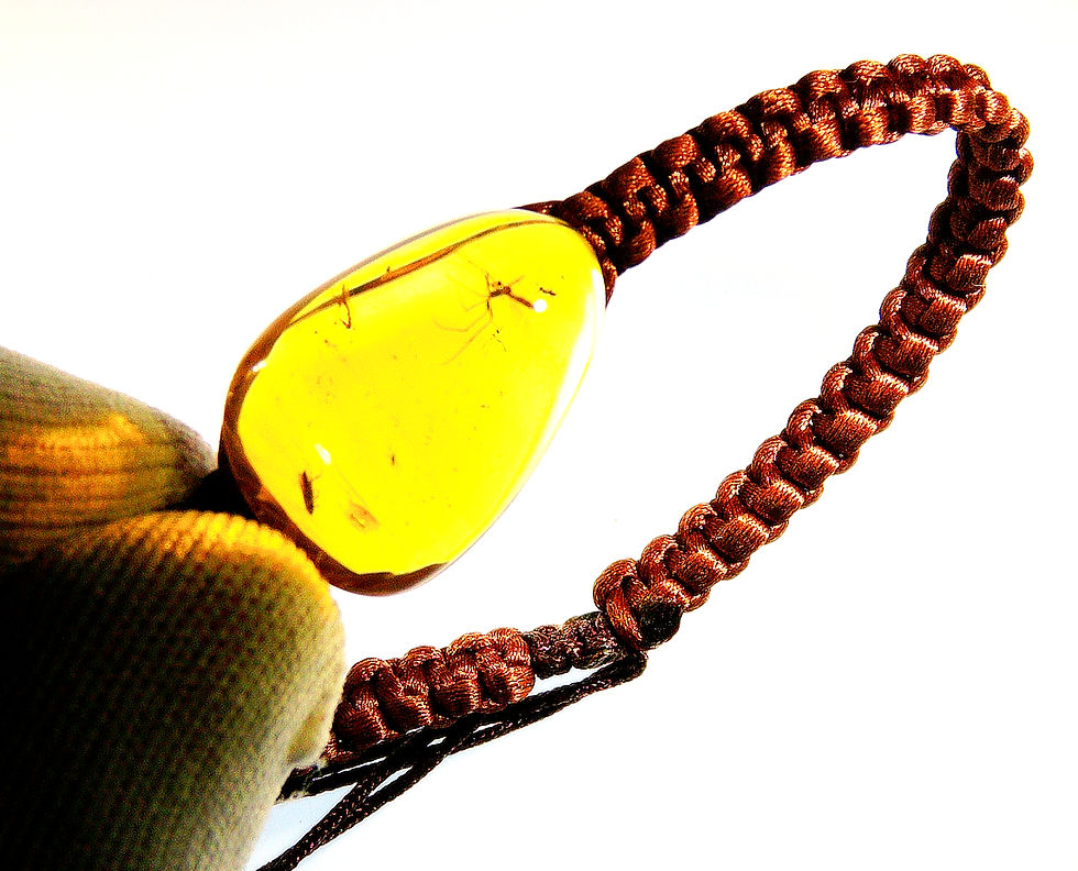 Thumbnail: Dominican amber bracelet with mosquito inclusion held between two fingers