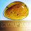 Thumbnail: Burmese amber with Scorpion over ruler