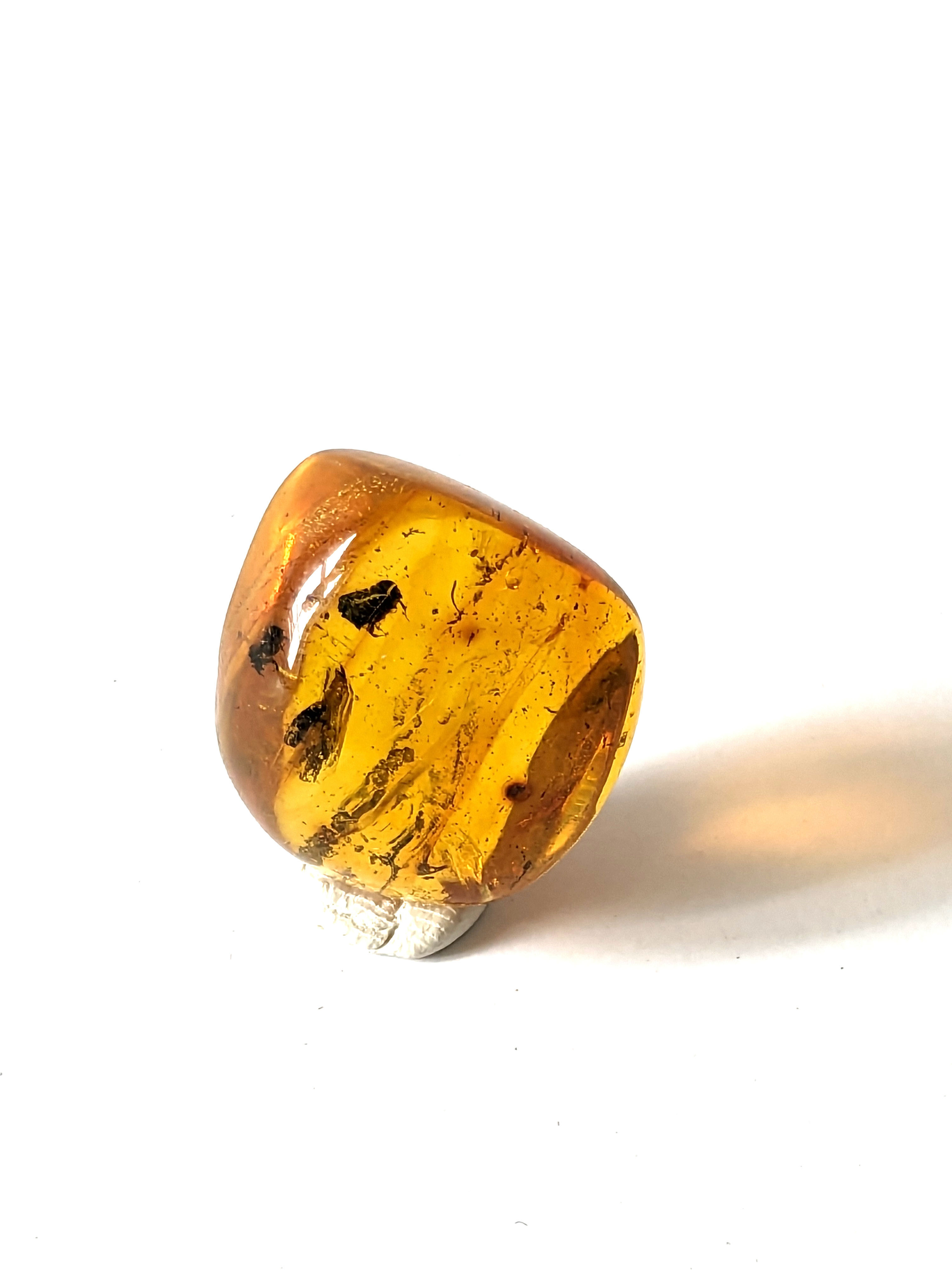 Amber with Insects #538 Swarm of Beetles