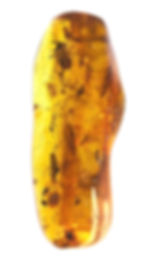 Colombian Copal with beetle and swarm inclusion under light board