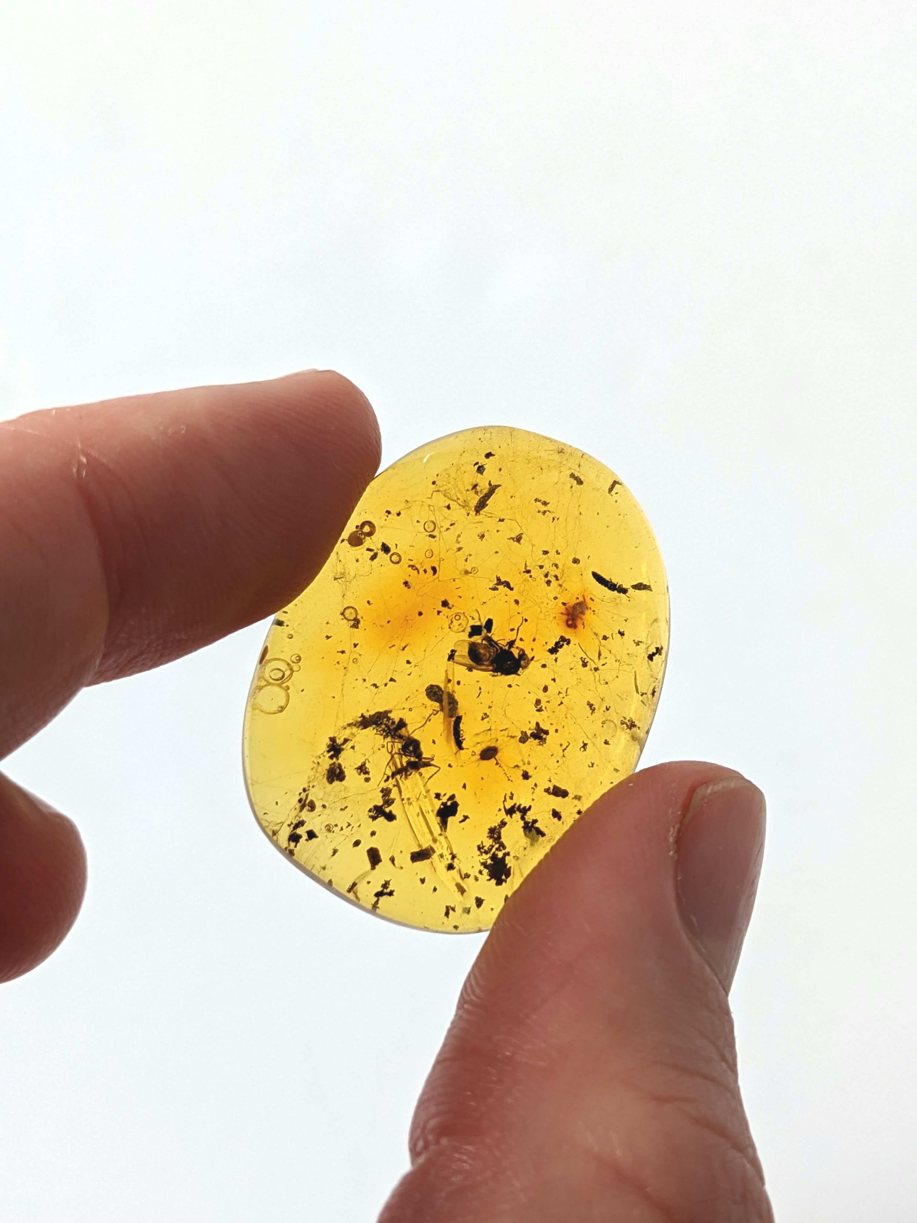 Amber With Insects #133 • Ant, Fly, And Beetle