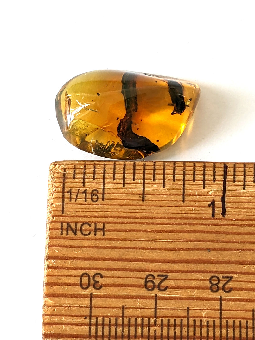 Thumbnail: Amber With Insects #367• Beetle + Leaf