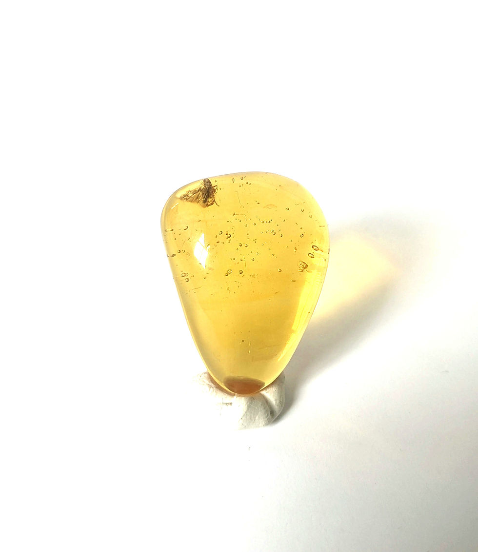Thumbnail: Insects In Amber #189 • 1 Large Clear Moth 