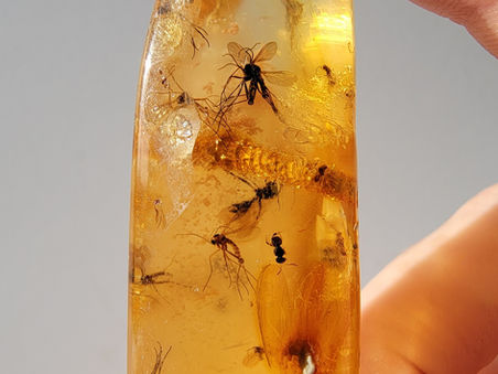 What is Colombian Copal?