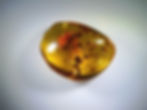 Dominican amber with enhydro inclusion