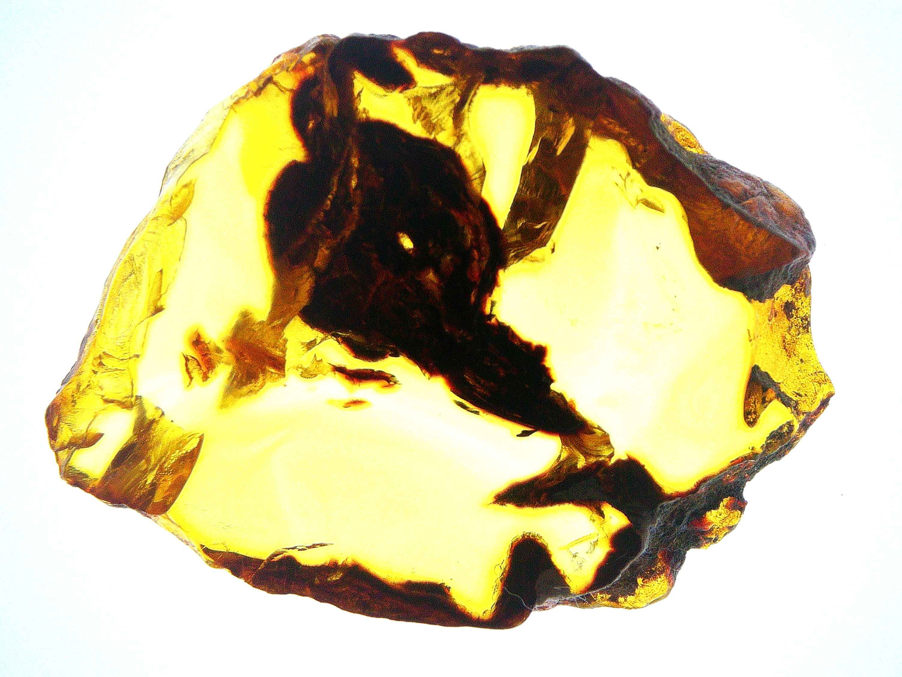 Dominican Amber slab over light board