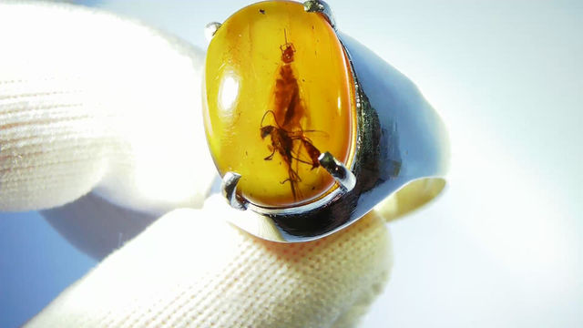 Thumbnail: Amber Jewelry • size 12.5 Male • .925 ring with wasp • #39