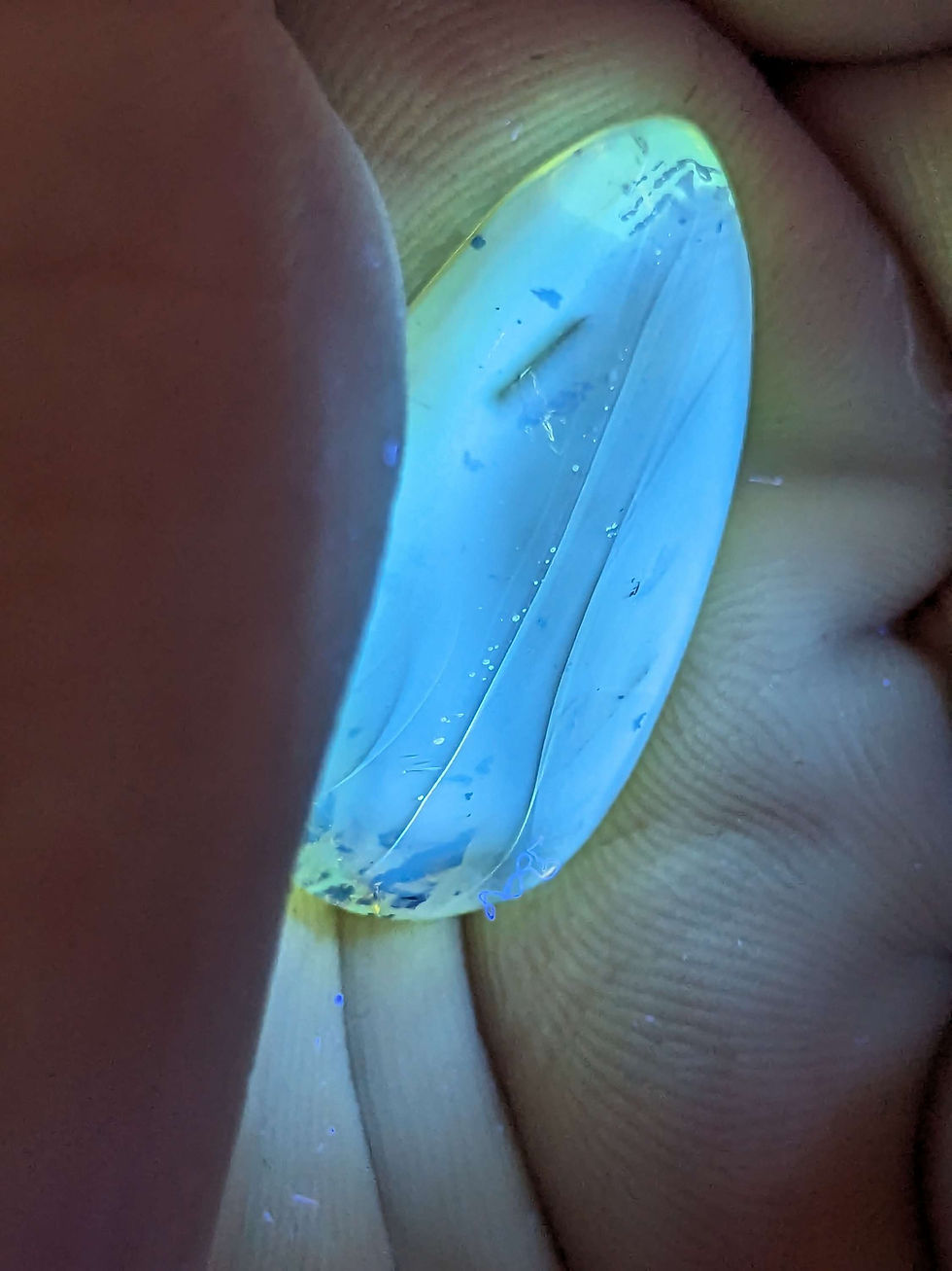Thumbnail: Amber with Insects #522 Mosquito, Fly, Moth.