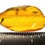 Thumbnail: Burmese amber with wasp over ruler