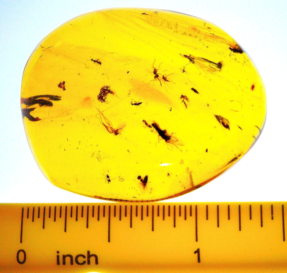 Thumbnail: Amber with insects #2139 • Burmese amber with swarm of mosquitoes inclusion