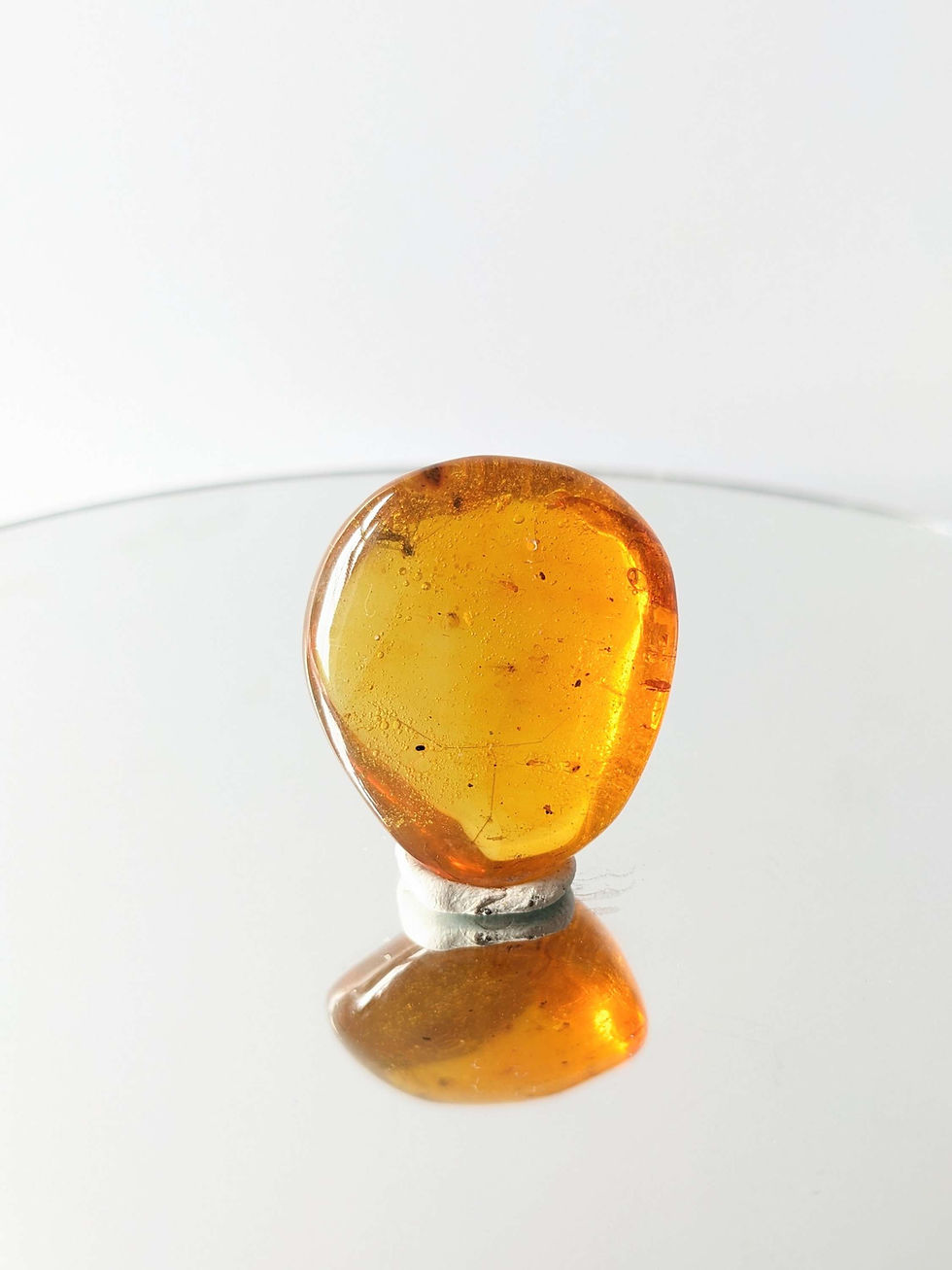 Thumbnail: Clear Mosquito and Small Mosquitos in amber