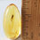 Thumbnail: Amber With #240 • Museum Grade Termite In Clear Cabochon