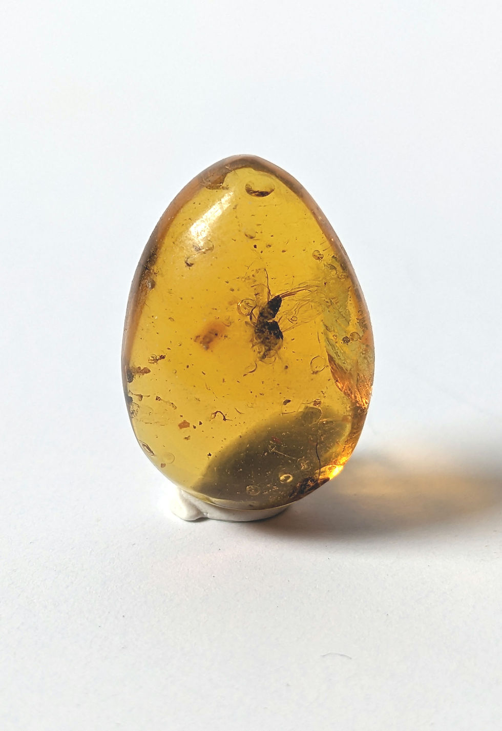Thumbnail: Amber cabochon with fly insect inside. Good amber cabochon with insect centered in piece. Excellent amber cabochon
