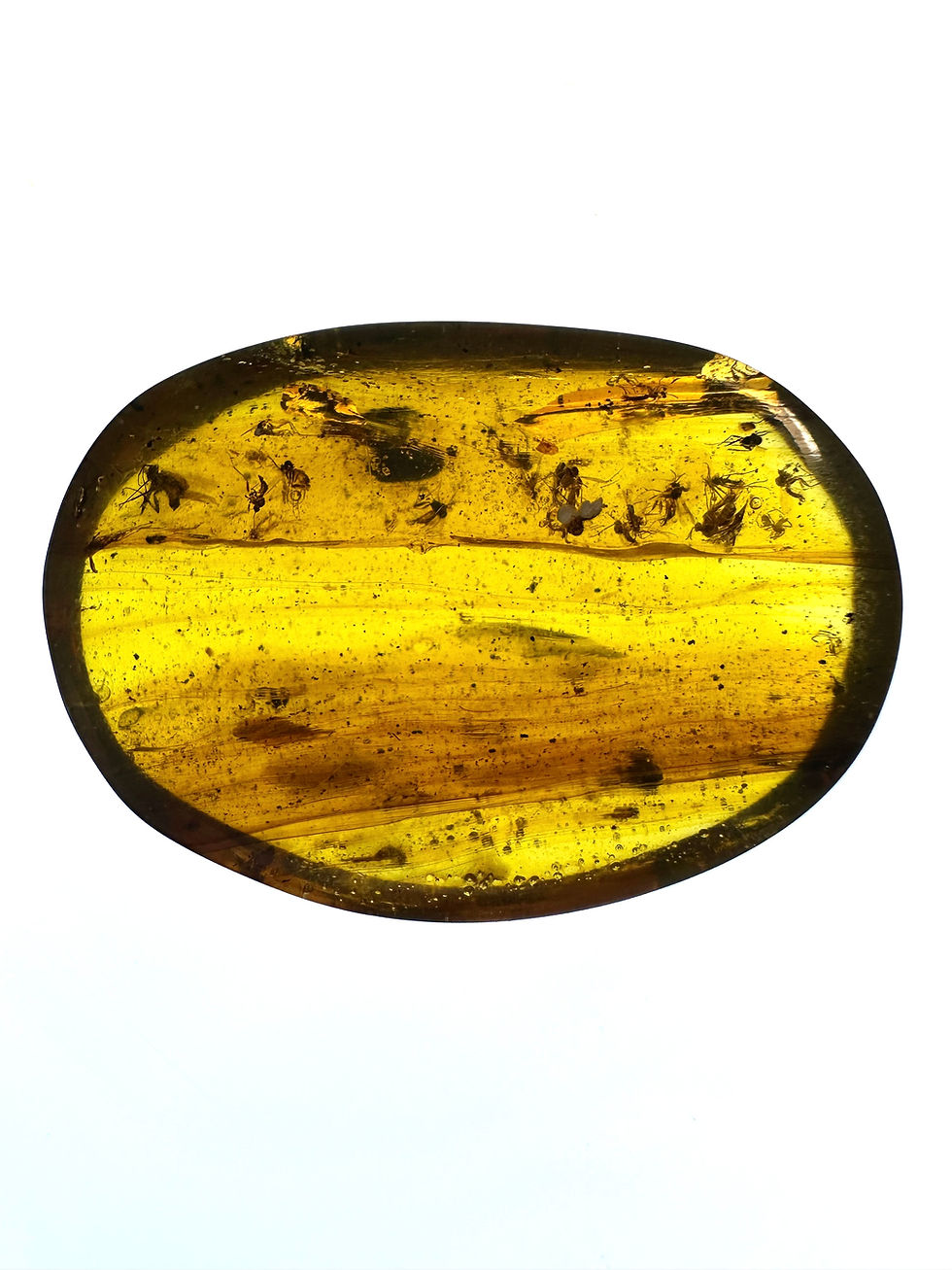 Burmese amber with Mosquito swarm over light board