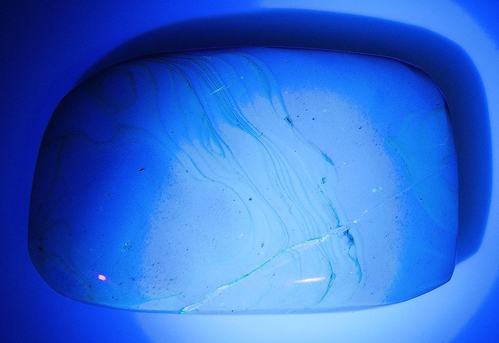 Thumbnail: Burmese amber with moth inclusion under UV light