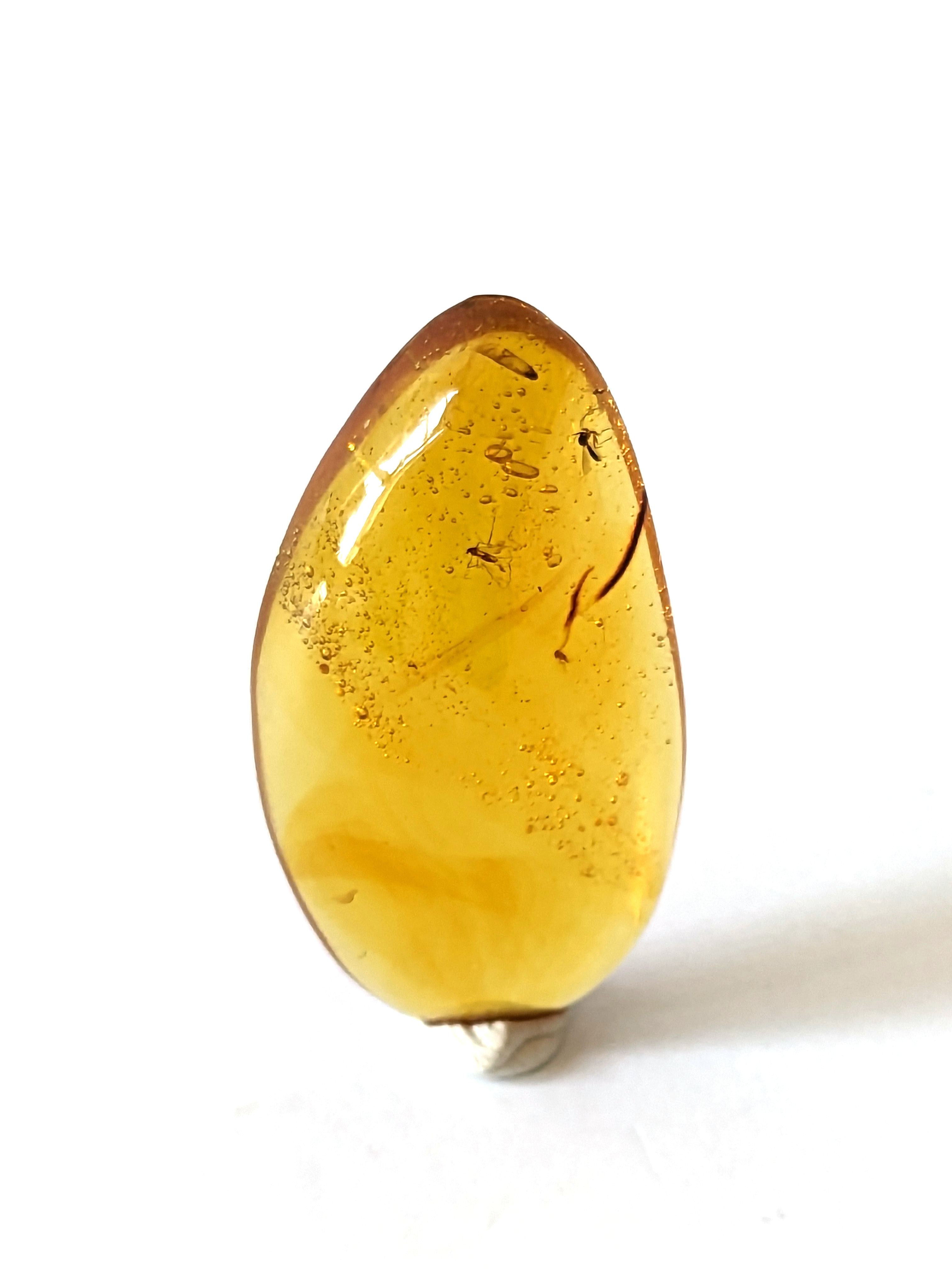 Amber with Insects #574 Mosquito