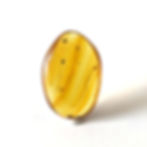 Amber with Insects • #620 Unidentified Arachnid