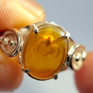 Cretaceous spider in burmese amber set in a silver ring