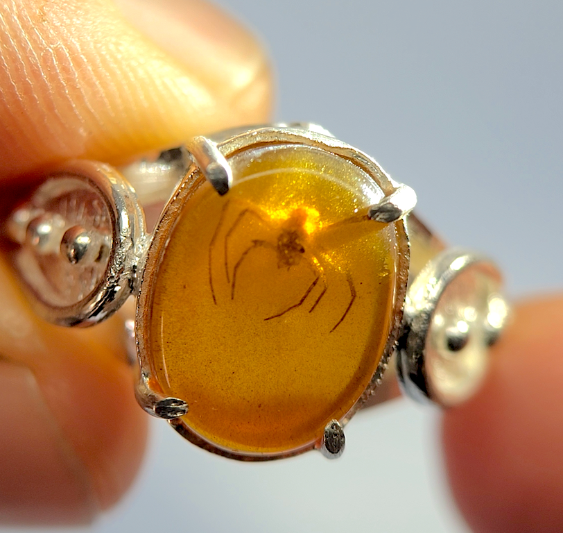 Fossilized spider preserved in clear Burmese amber, set in a handcrafted silver ring. Claws and legs visible through golden fossil resin.