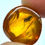 Thumbnail: Amber with insects #694 • Dominican Amber with fly inclusion 