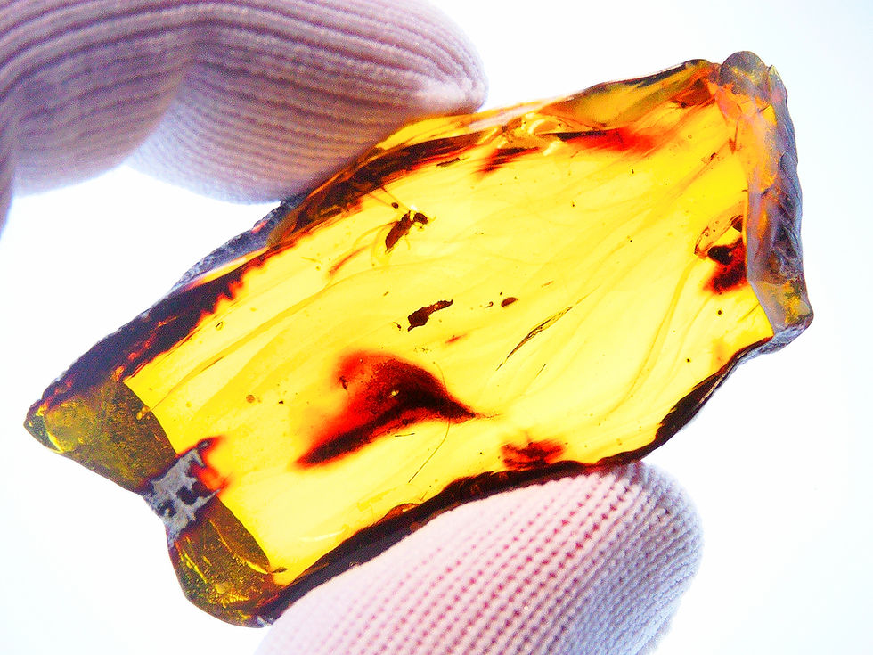 Thumbnail: Burmese amber with slab thermite inclusion held between two fingers