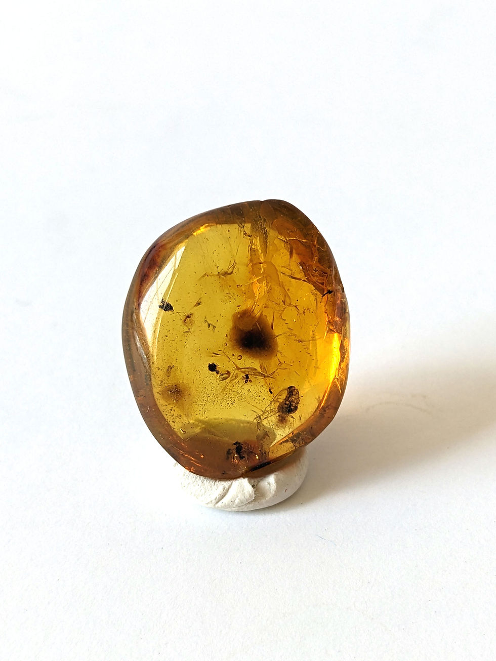 Thumbnail: Amber With Insects #274 • Spider Egg Sac
