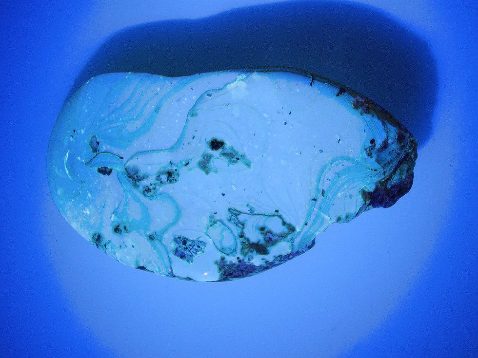 Thumbnail: Burmese amber with cricket under uv light