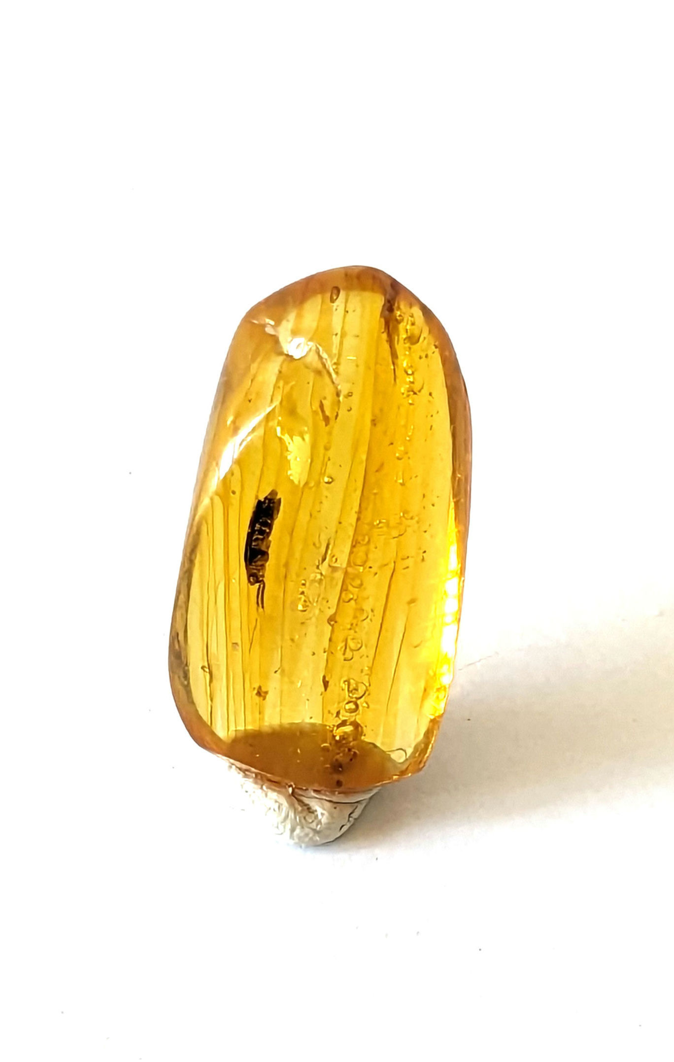 Amber with Insects #556 Clear Beetle