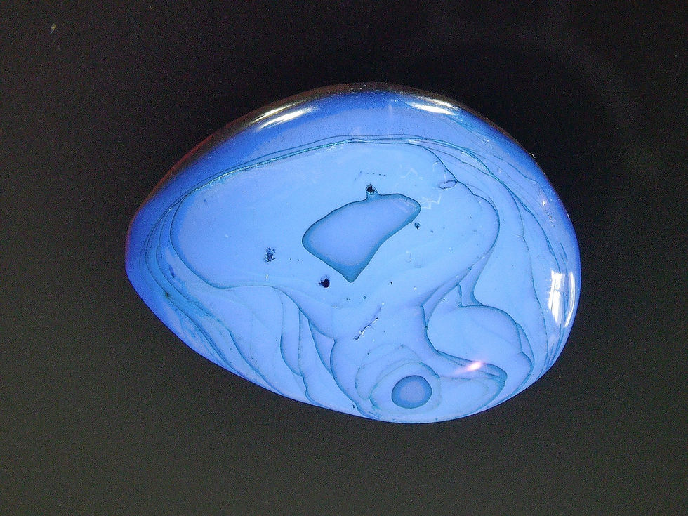 Thumbnail: Burmese amber with Scorpion under uv light