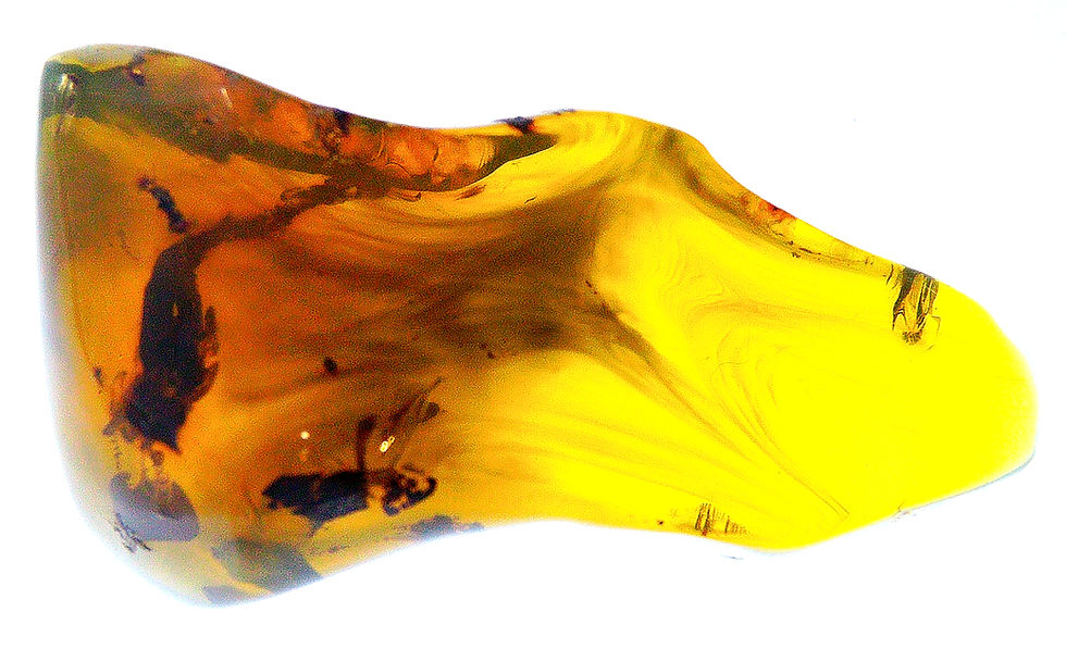 Mexican AAA green amber displayed on a light board