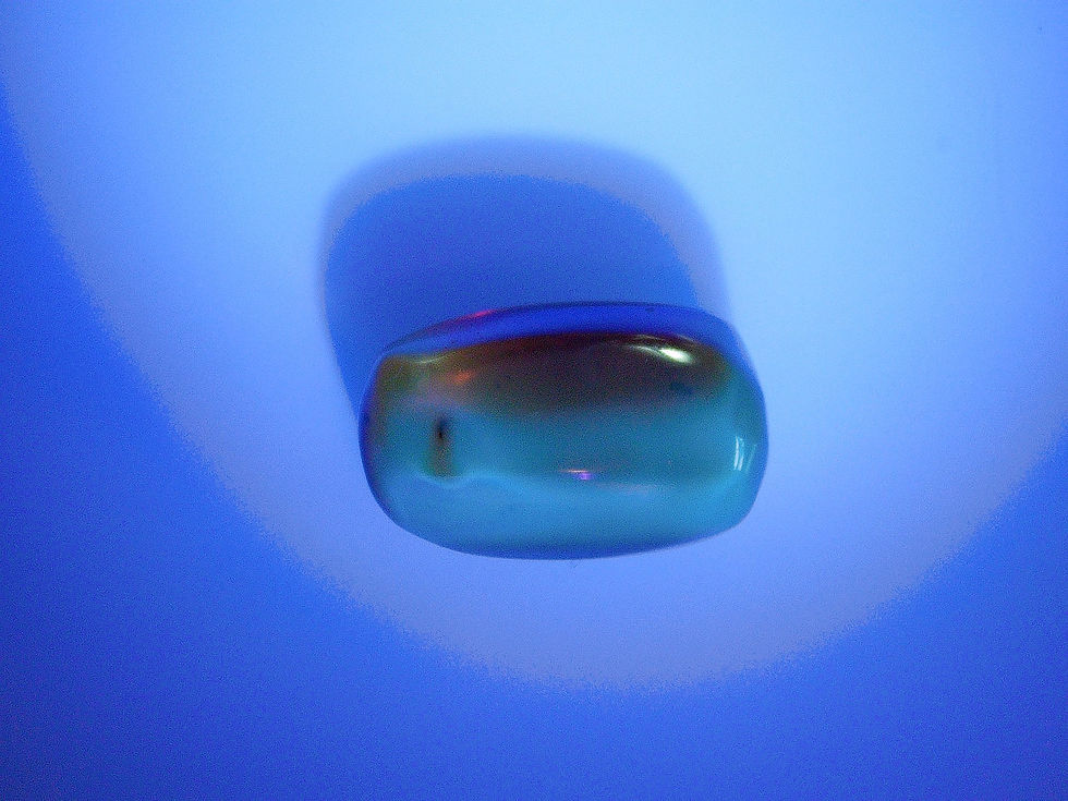 Thumbnail: Dominican amber with mosquito inclusion under uv light