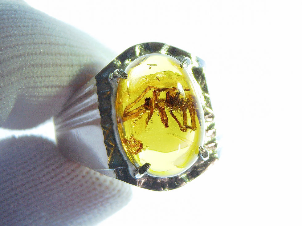 Thumbnail: Amber Jewelry • Size 13 Male • .925 ring with spider • #38
