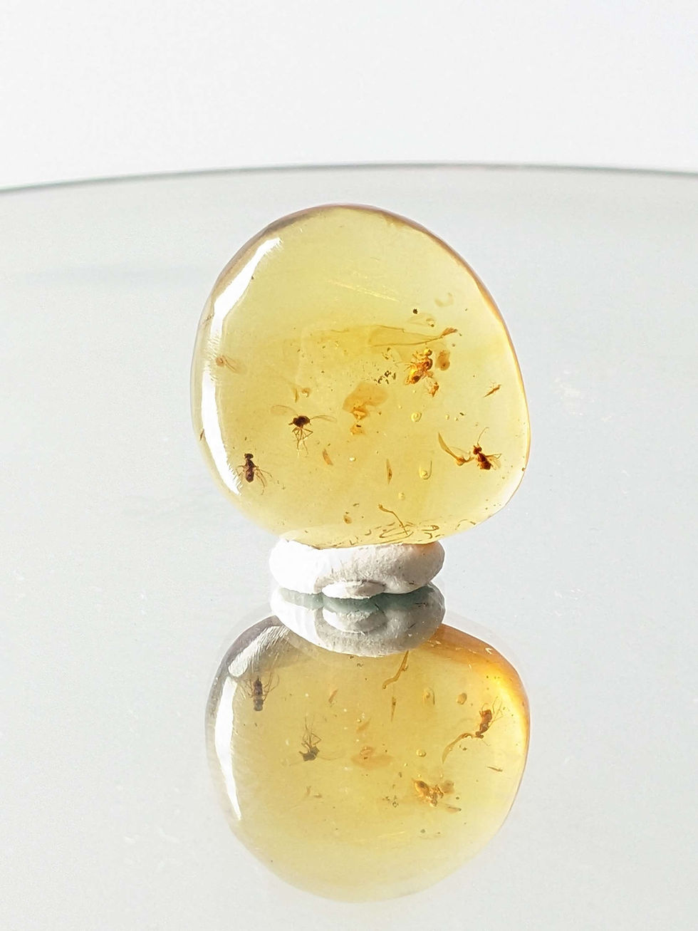 Thumbnail: Four Flies VERY CLEAR
