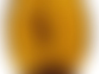 A Parasitic Wasp Frozen in Time: Burmese Amber with Cretaceous Insects