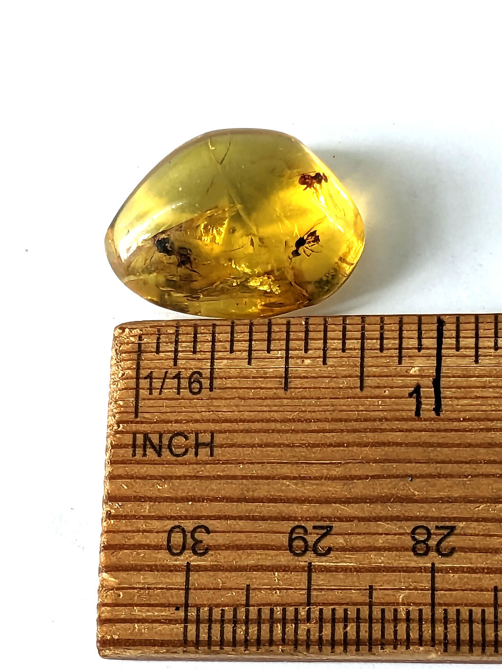 Thumbnail: Amber with Insects #448 • Bees and Wasp