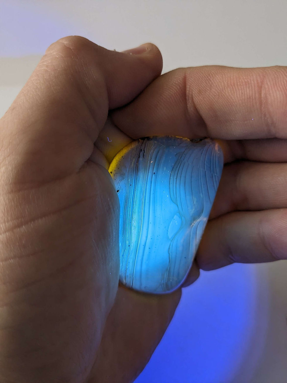 Thumbnail: Amber with Insects #510 Mosquito and Insect