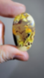 Lichens in Indonesian Amber