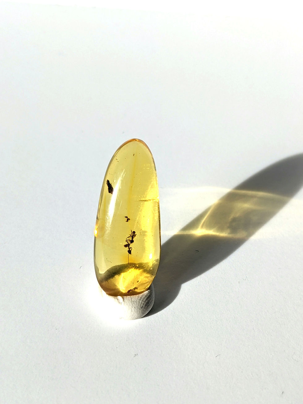 Thumbnail: Insects In Amber #192 • 2 Clear Ants & Tiny Mosquito 