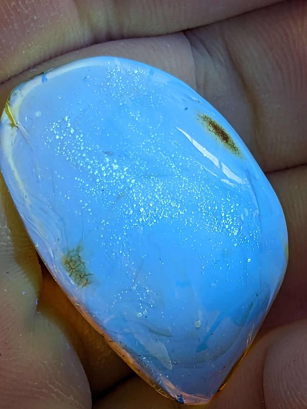 Thumbnail: Amber with Insects #480 • Algarrobo Petal 